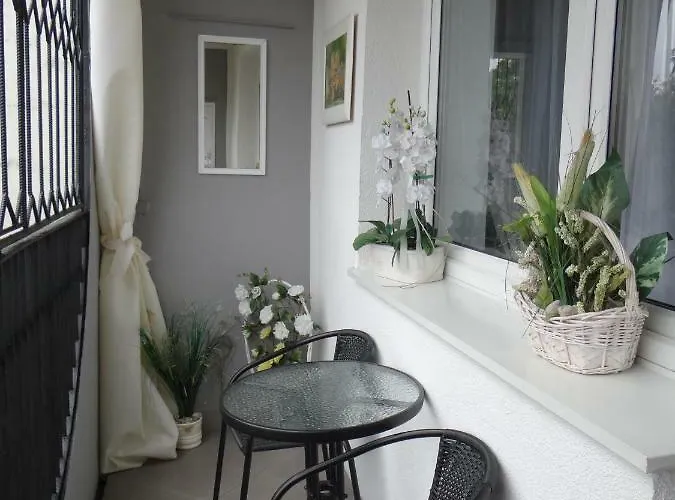 Bialy 6-8 Osob Dostawka *